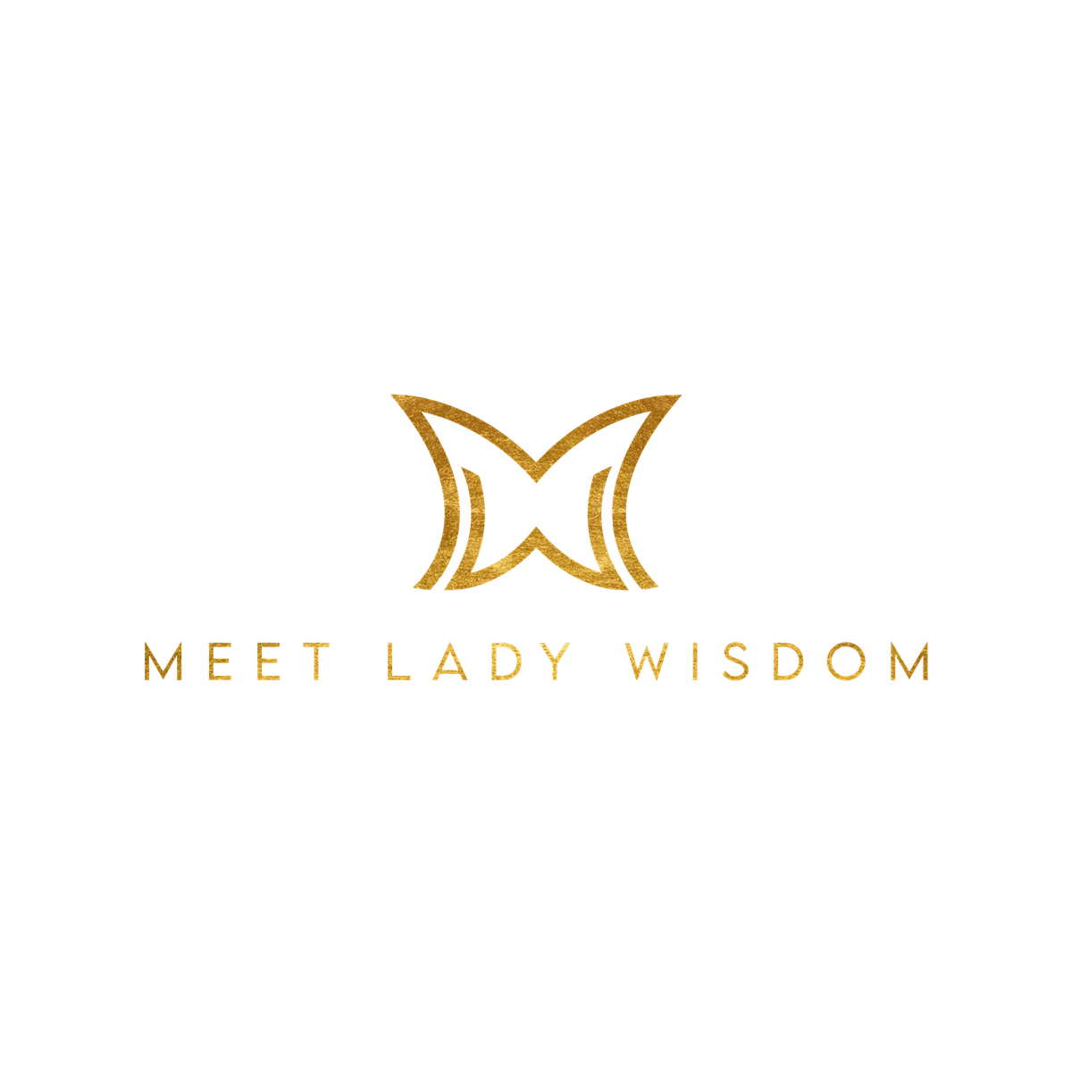 Meet Lady Wisdom Presents: The in The Beginning Conference