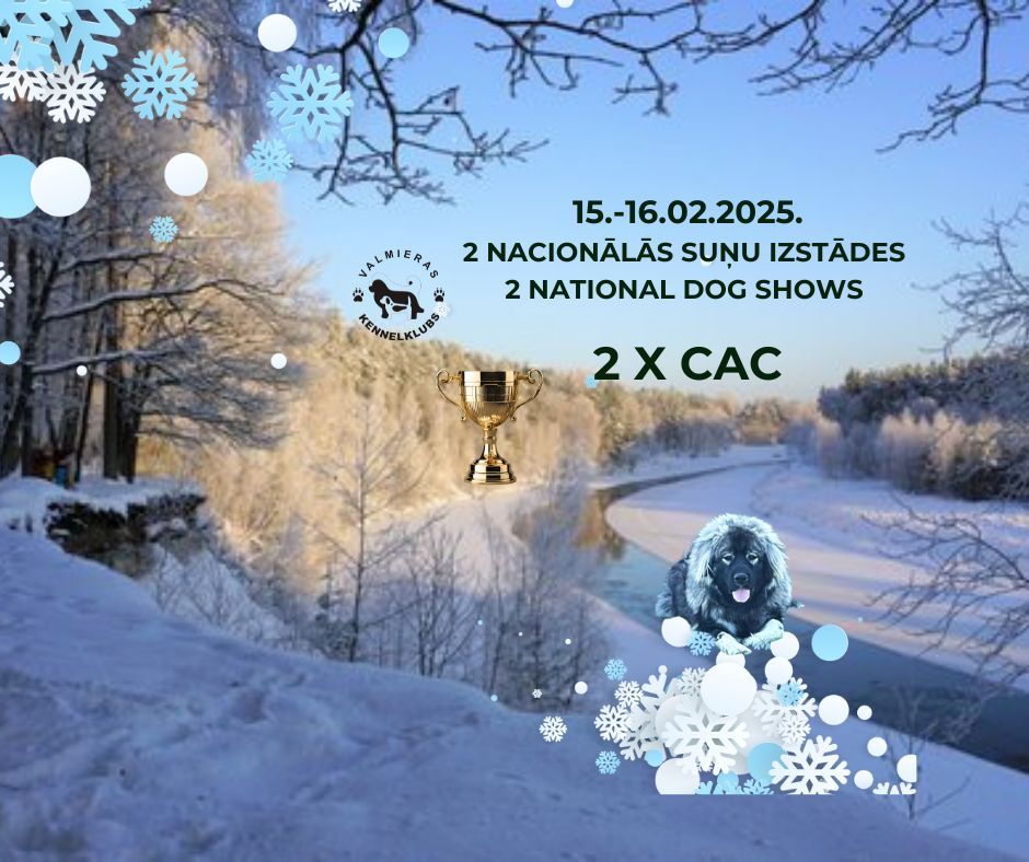 15.-16.02.2025. 2XCAC NACION\u0100L\u0100S SU\u0145U IZST\u0100DES\/NATIONAL DOG SHOWS 