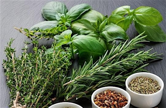 Explore the World of Herbs: Tasting, Pairing, Infusing