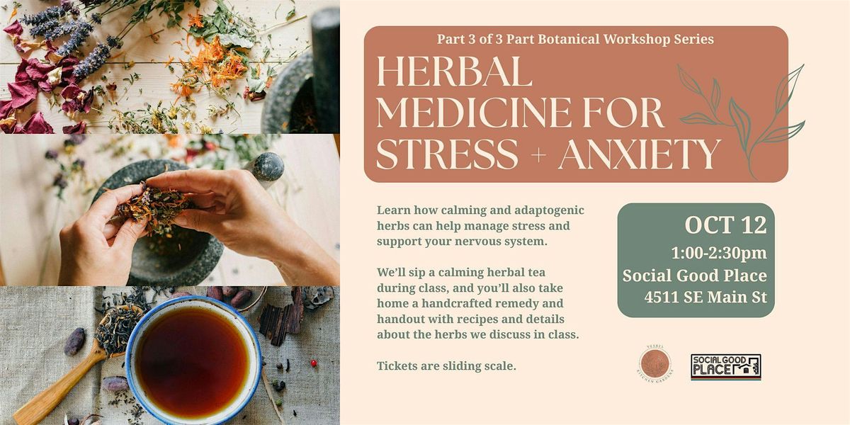 Herbal Medicine for Stress & Anxiety Workshop