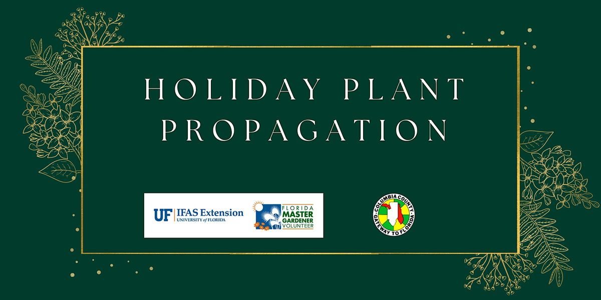 Holiday Plant Propagation Workshop