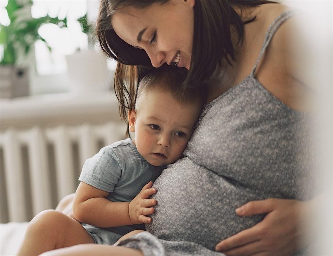 Fox & Cub Family Wellness Prenatal\/Postpartum Support Groups