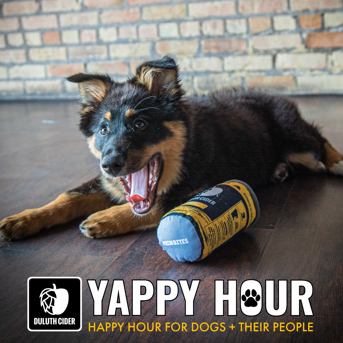Yappy Hour Thursdays at Duluth Cider
