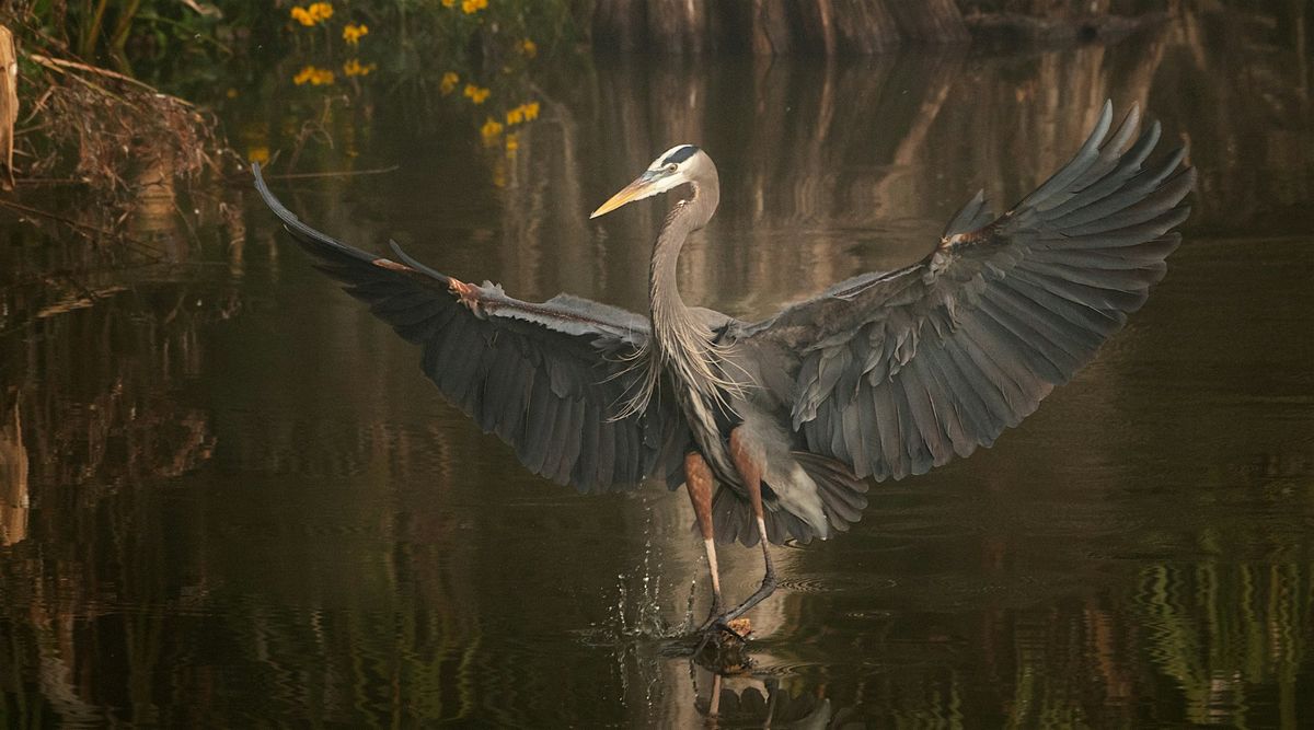 Nature Photography Class