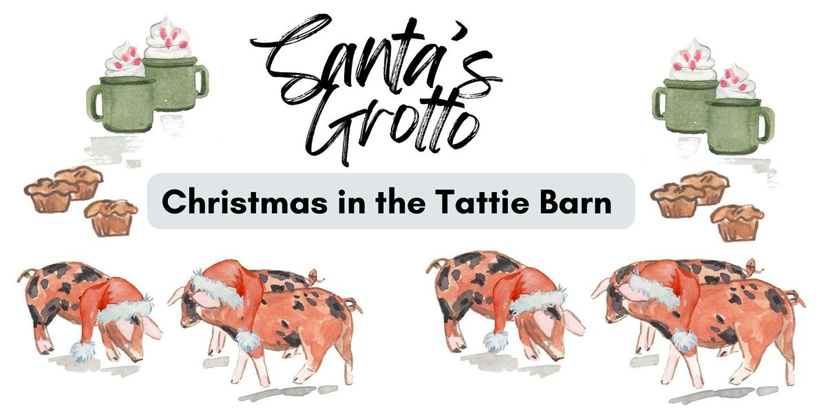 Santa's Grotto @ Christmas in the Tattie Barn