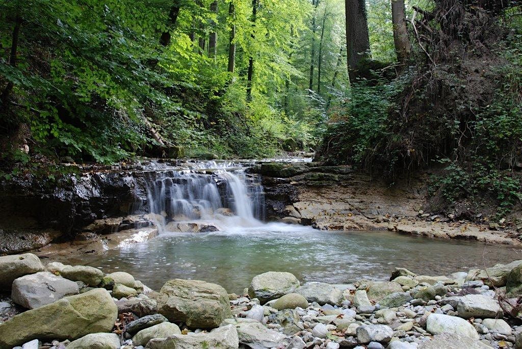 River Tones: A Glossary Walk with "guerilla classics"