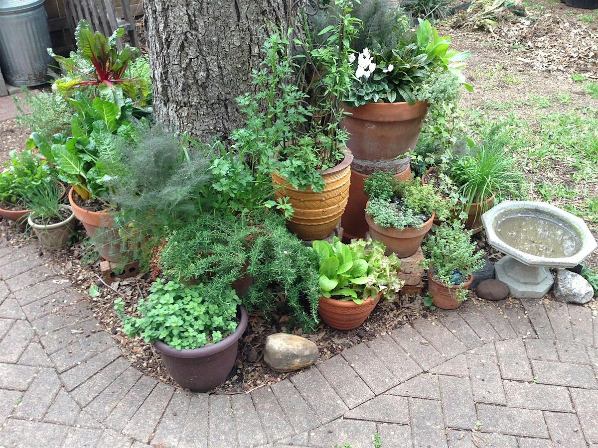 Fall  Herb Weekend 2025
