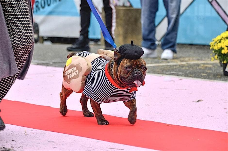 Howl-ween! Dog Costume Contest