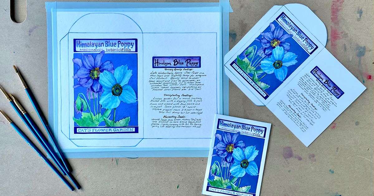 Vital + Creative: Seed Packet Watercolor Illustration For Ages 55+ 