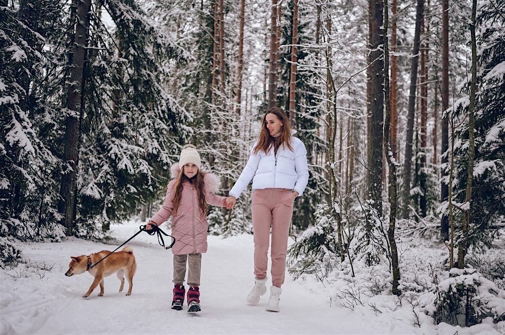 Christmas Dog Stroll with Santa Elves and Canine Consultants