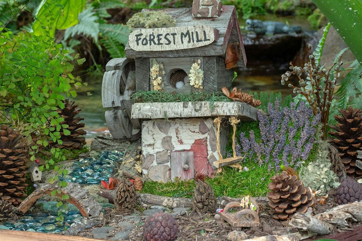 Family Fairy House Hike and Build Workshop