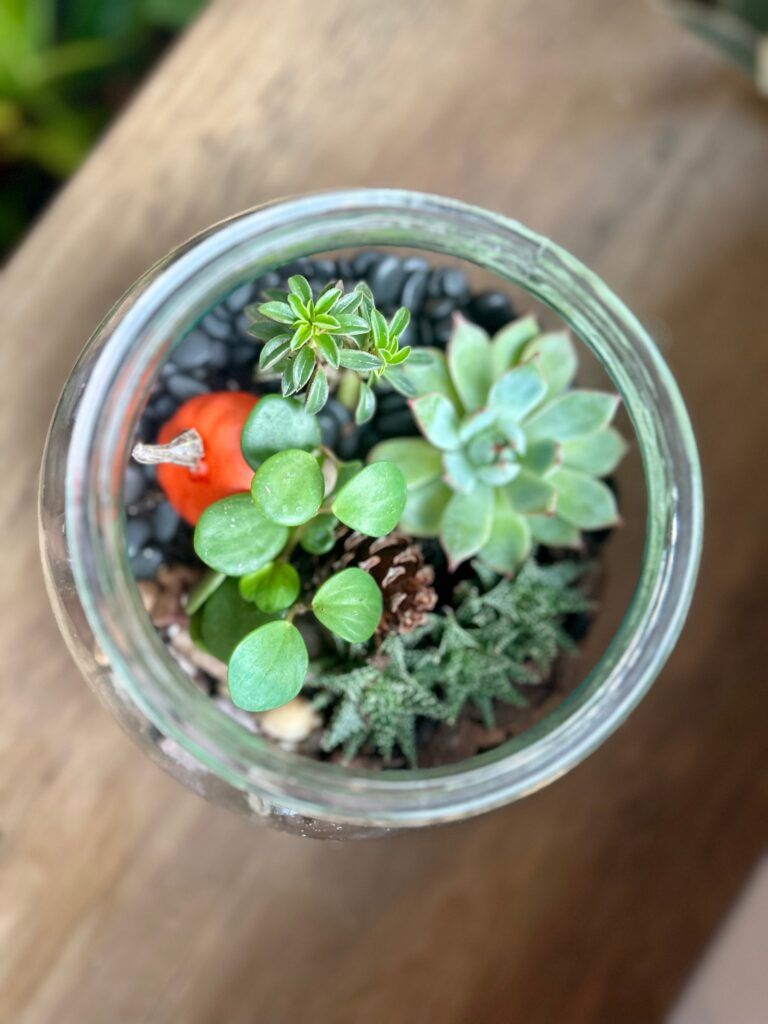 Plantscapes by Design: Glass Bubble Terrarium Workshop