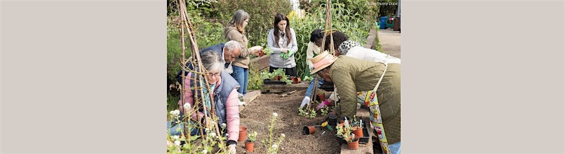 Wild about Brain Health: Autumn #3, Fire!