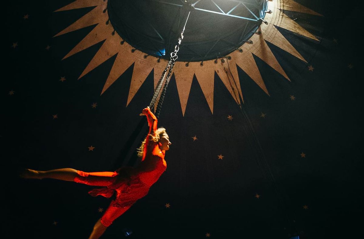 V - The Ultimate Variety Show