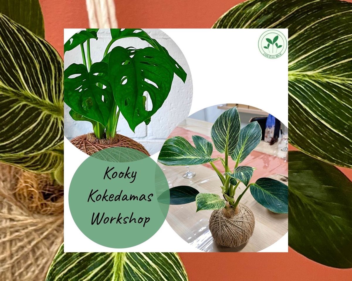 Kooky Kokedamas Workshop