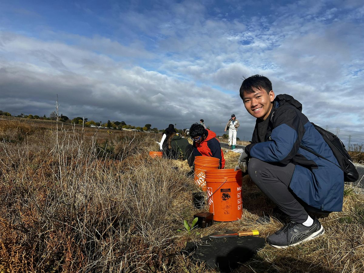 Volunteer Outdoors in East Palo Alto at Ravenswood Preserve