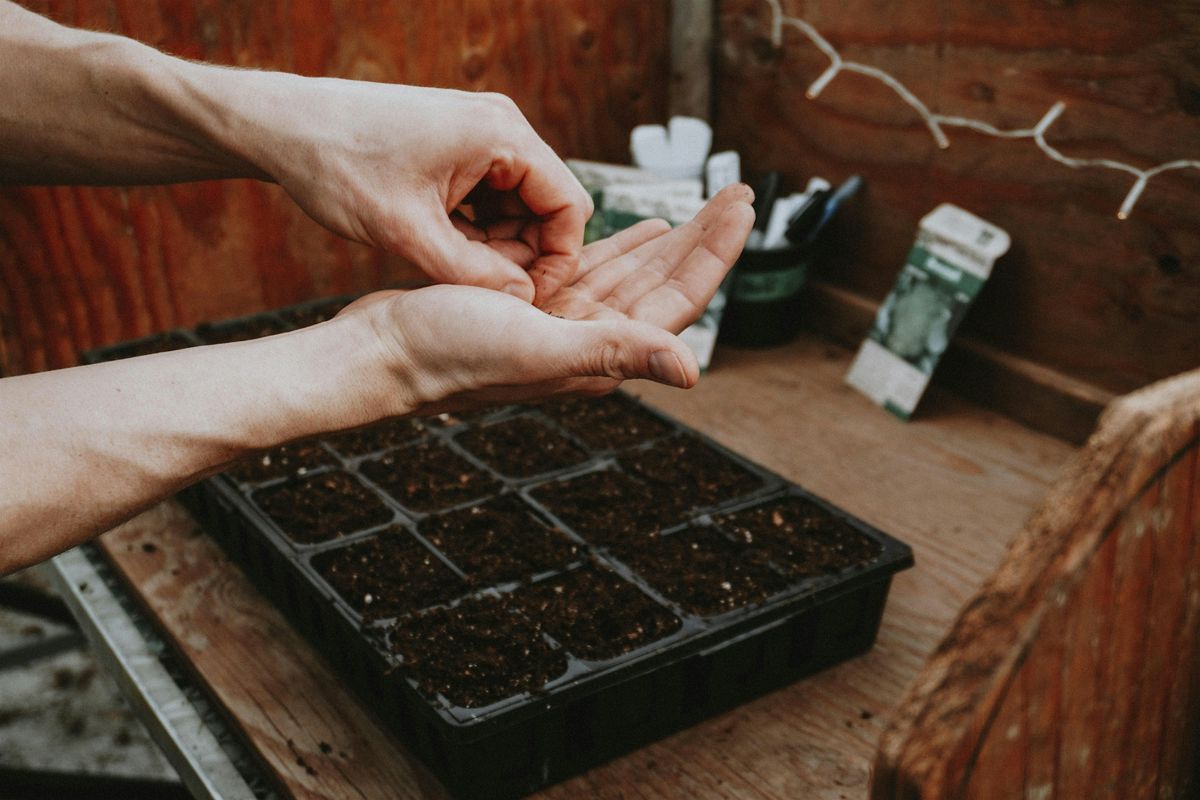 Seed Starting Workshop