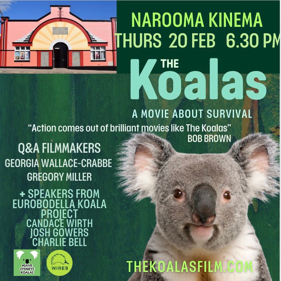 The Koalas film screening and filmmaker Q&A Narooma