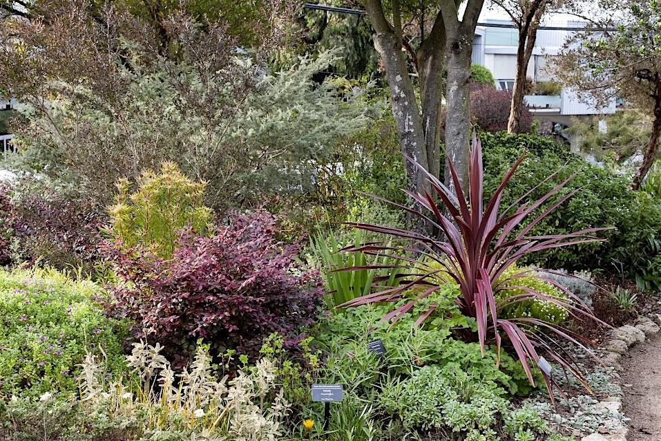 Introduction to Sustainable Gardening Series: Fall 2025
