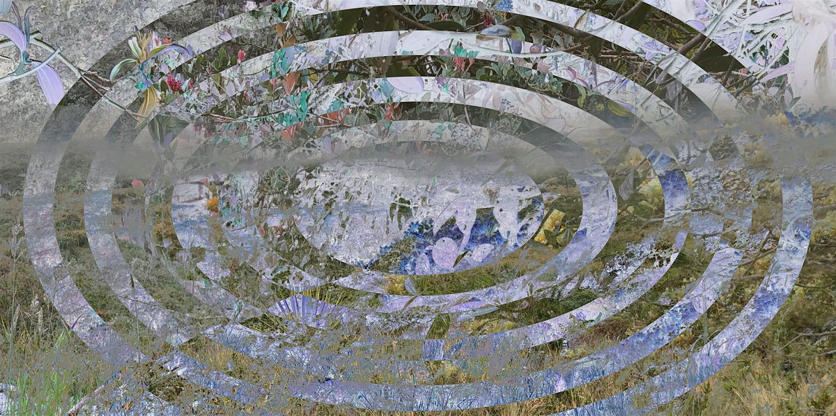 Amphibian Ways of Listening