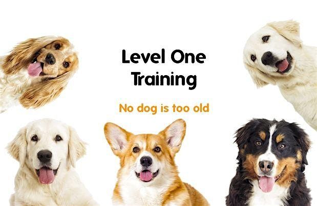 Level One Training, Sunday, DSPCA (Valerie)