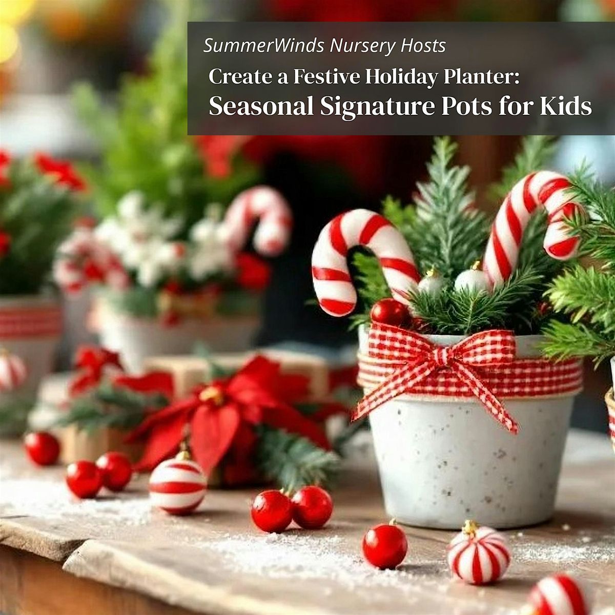 Seasonal Signature Pots for Kids: Create a Festive Holiday Planter - Cupe