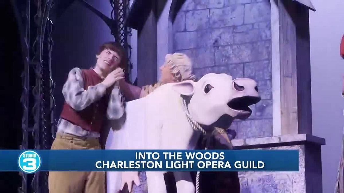 Into the Woods - Charleston