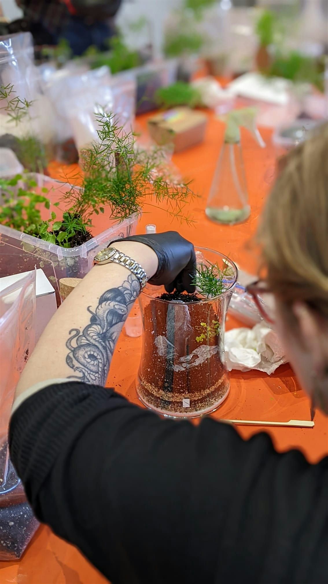 Step Inside The  World Of Terrariums - with Kerim (Earth & Water)