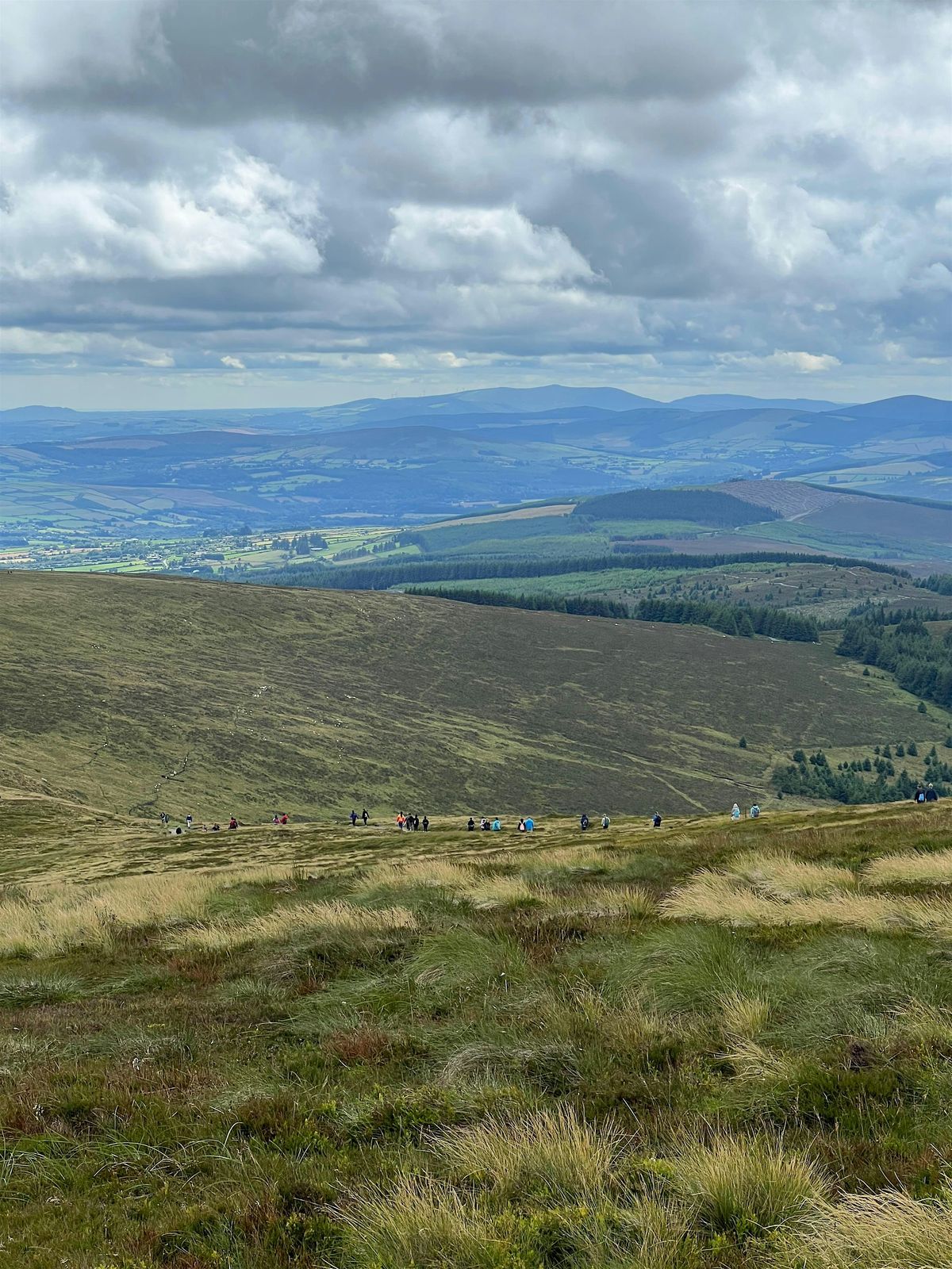 Hike & Brunch - Dublin Mountains