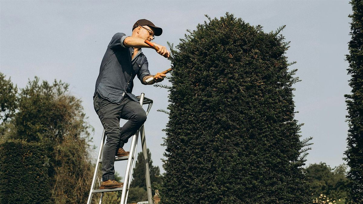 Winter Pruning