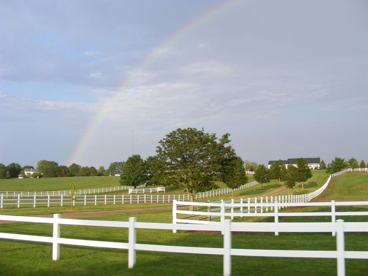 SUMMER Tri-Semester Horse Riding Lessons, June, July, August.