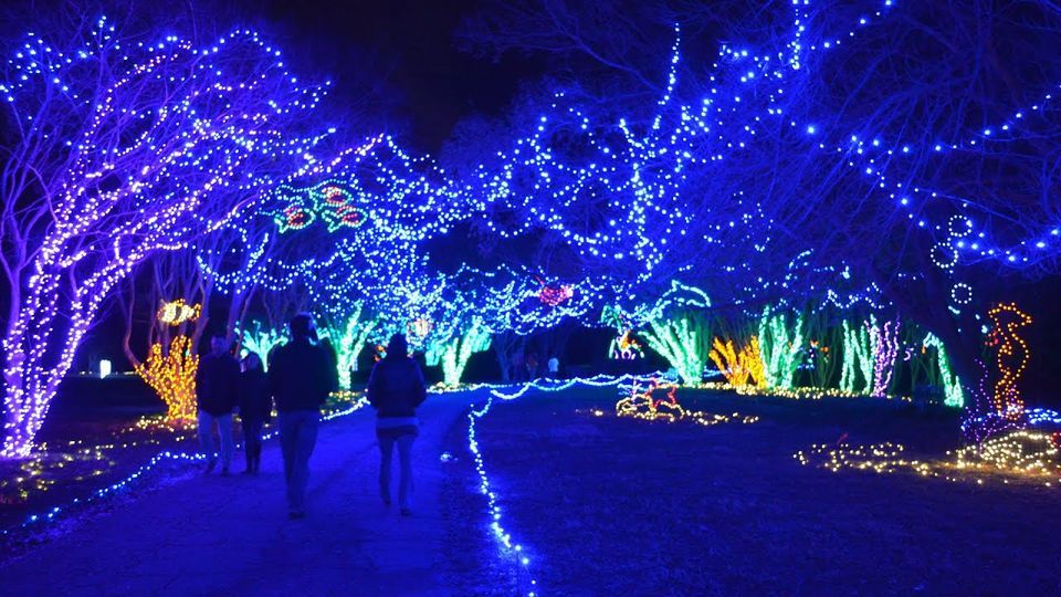 2023 Durban Botanic Gardens Trail of Lights, Durban Botanic Gardens, 8 ...