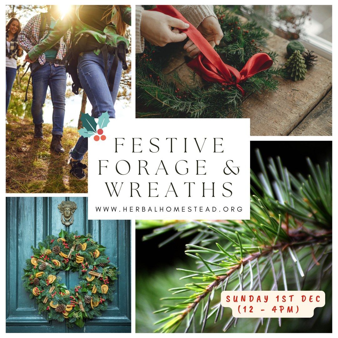 Festive Forage, Wreath Making & Conifer Needle Tea!