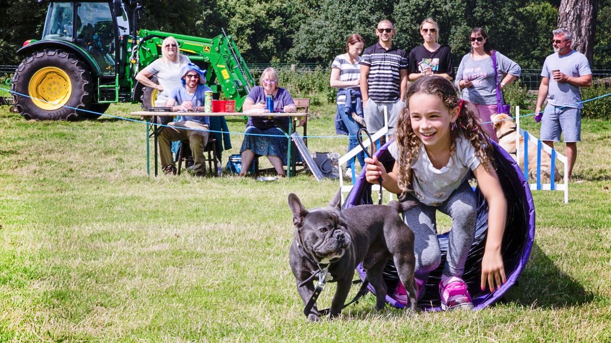 Fun Dog Show