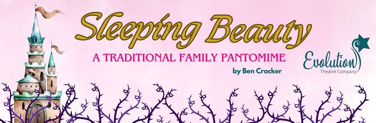 Sleeping Beauty - The Pantomime