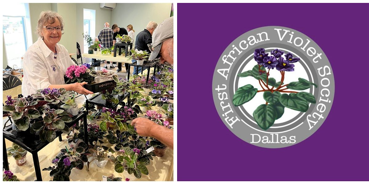 Metro African Violet Spring Sale