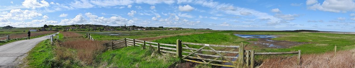 Life Changing: Wildlife arrivals and departures waymarking spring