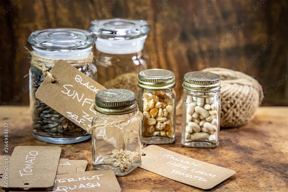 Saving for the Seasons: A Seed Saving Workshop for the Home Gardener