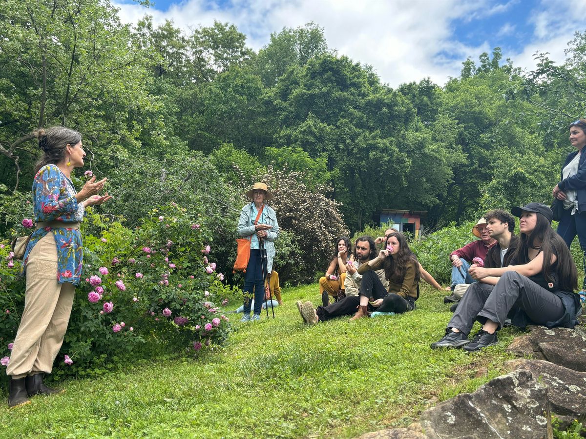 Earth Devotions' Gatherings