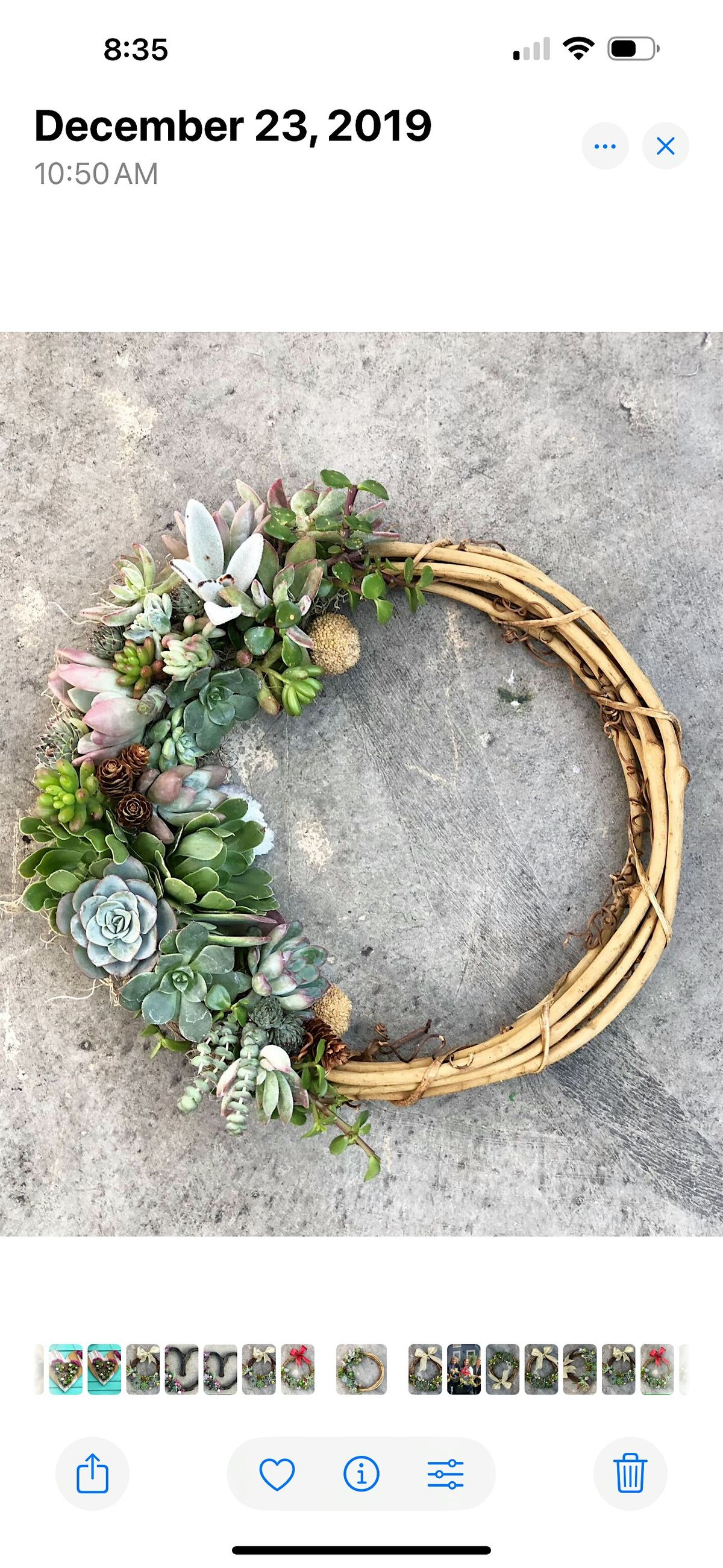 Succulent Wreath Workshop