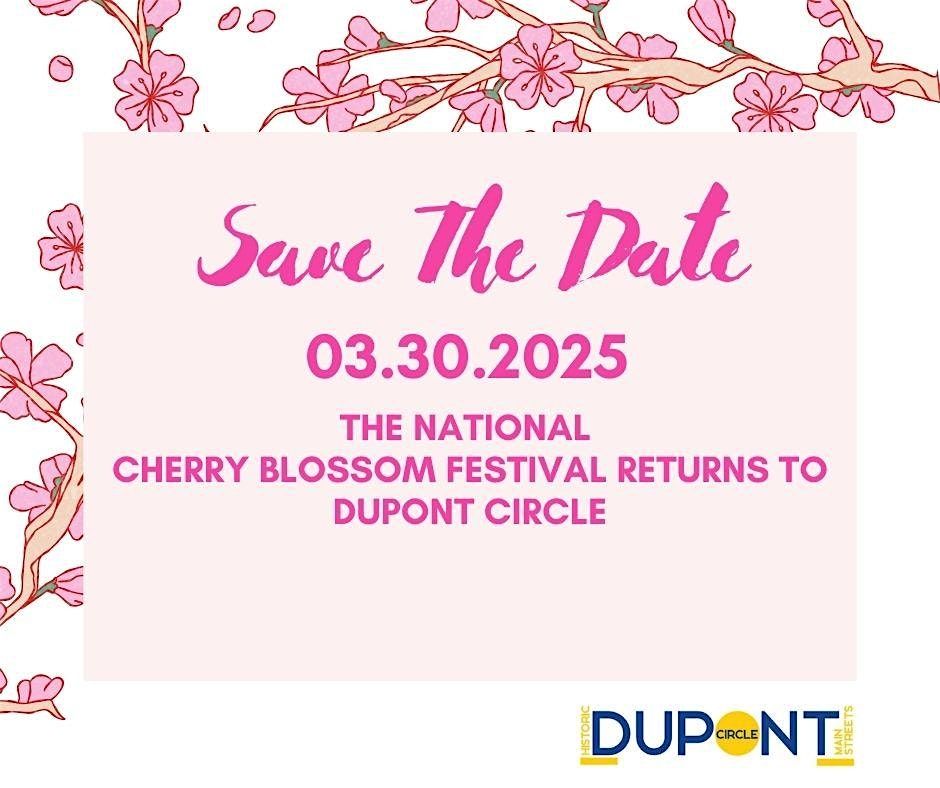 Dupont Circle Cherry Blossom Pop-up