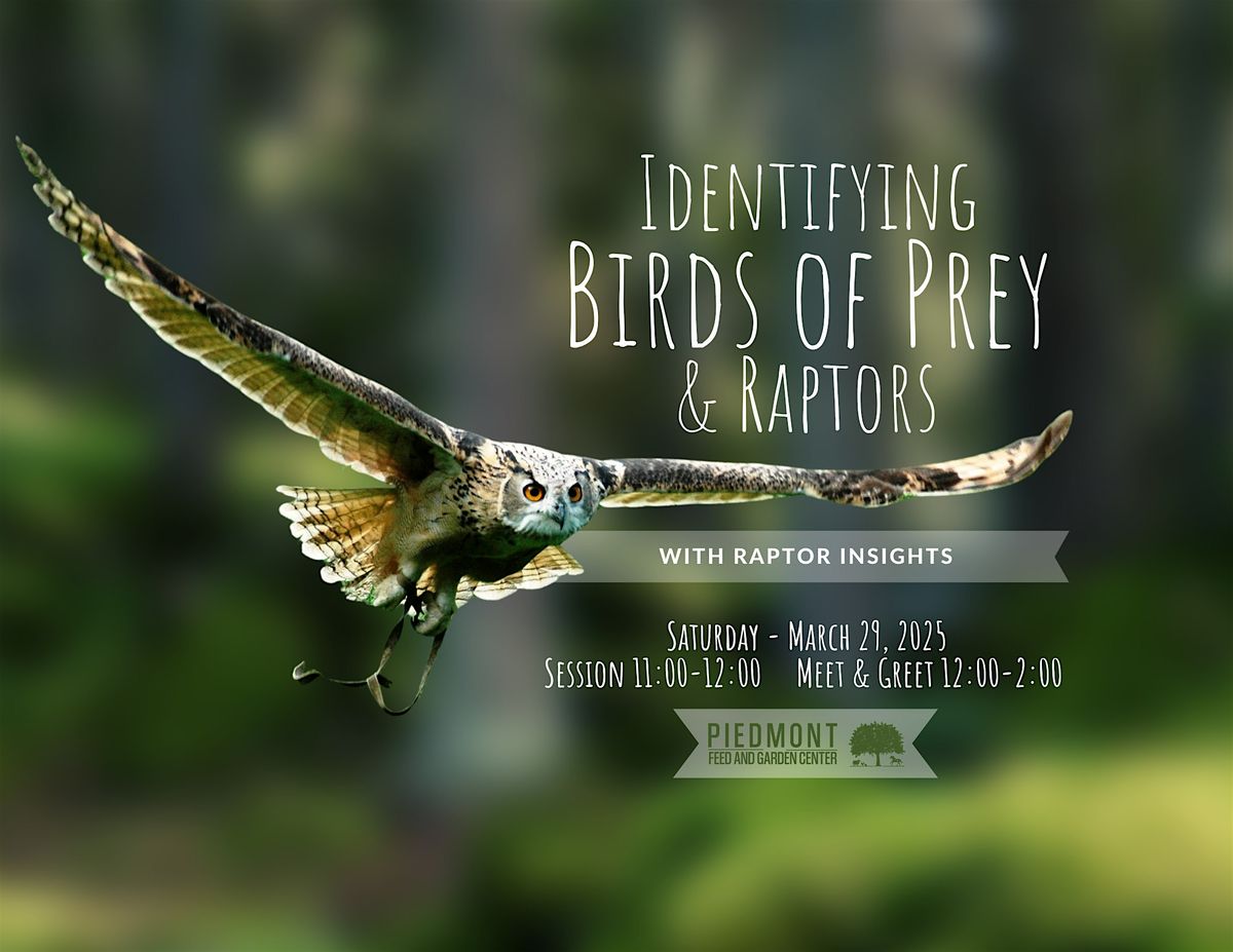 Pray Raptor Identifying Birds of Prey & Raptors with Raptor Insights, Piedmont Feed ...