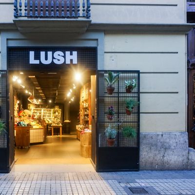 Lush Valencia