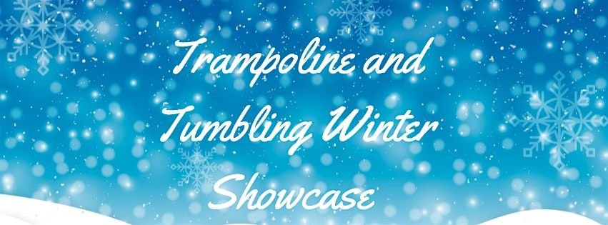 Birons Trampoline and Tumbling Winter Showcase and Fundraiser