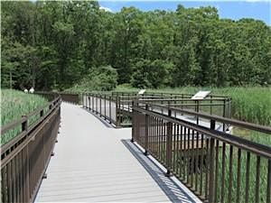 NJ Audubon: April Showers Walk at Hawk Rise Sanctuary