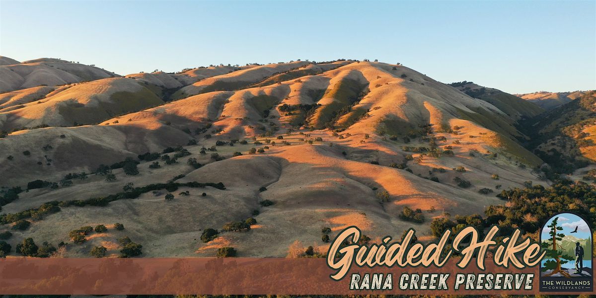 Wildflower Guided Hike - Rana Creek Preserve