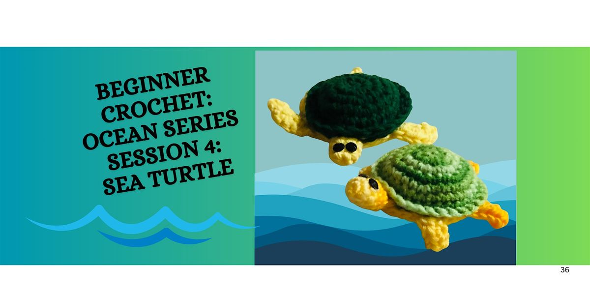 Beginner Crochet Ocean Series- Session 4: Sea Turtle