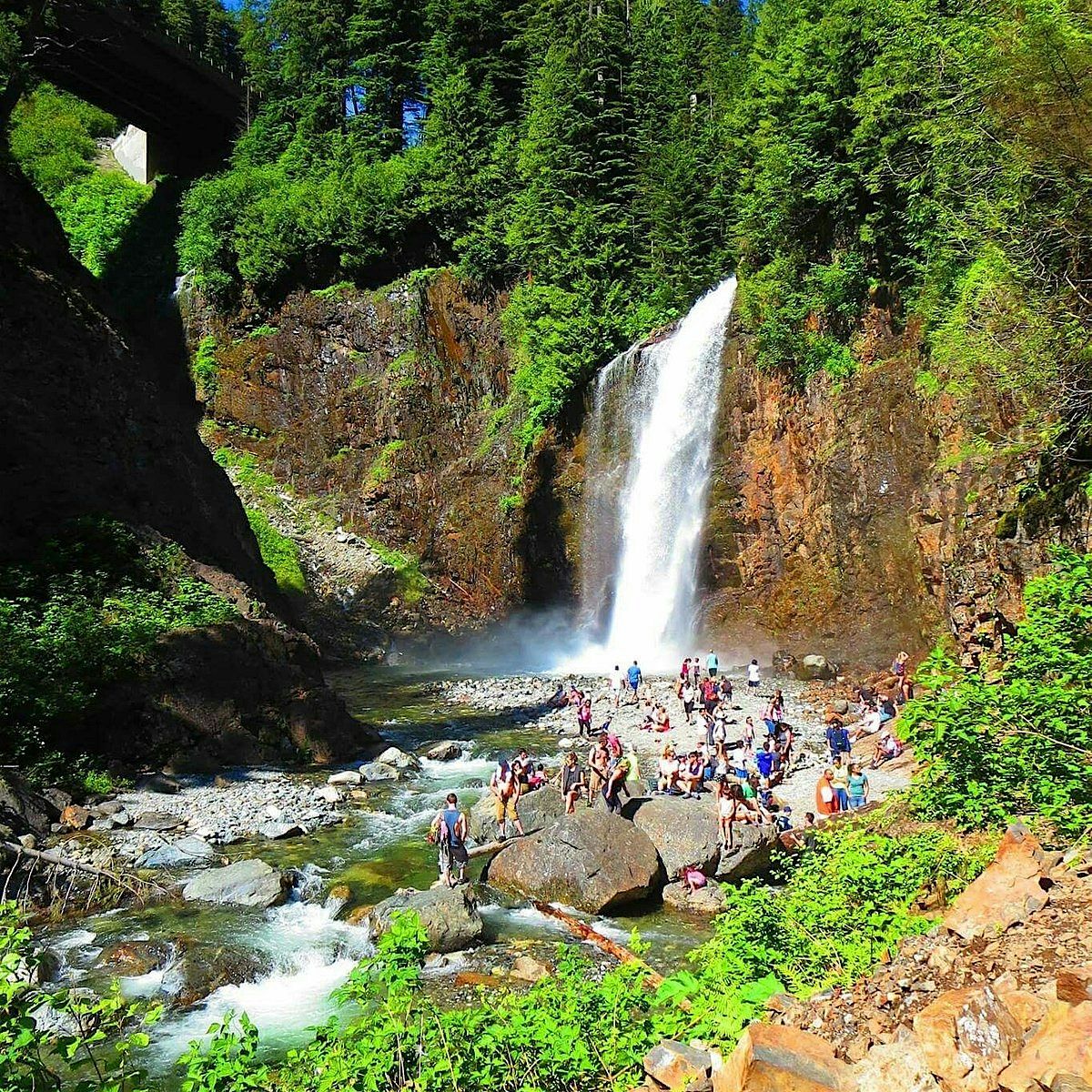 We Free. We Flo. We Fit. We HIKE!