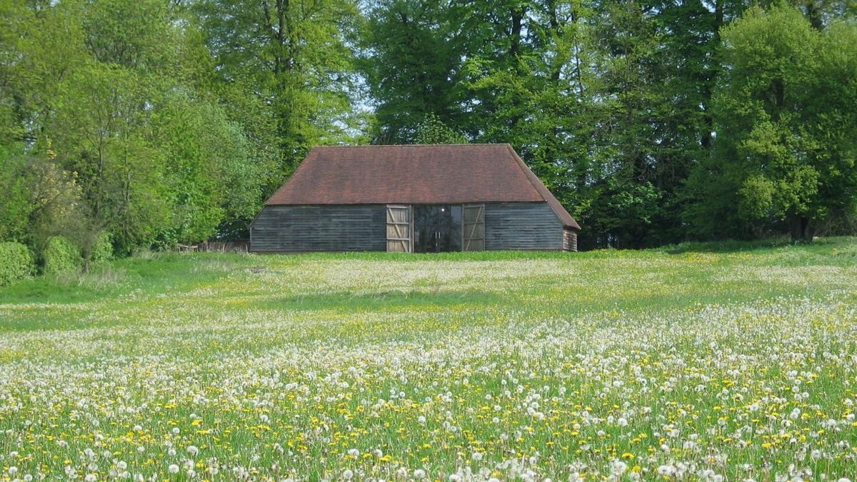 Gilbert White Field Studies Centre Open Day