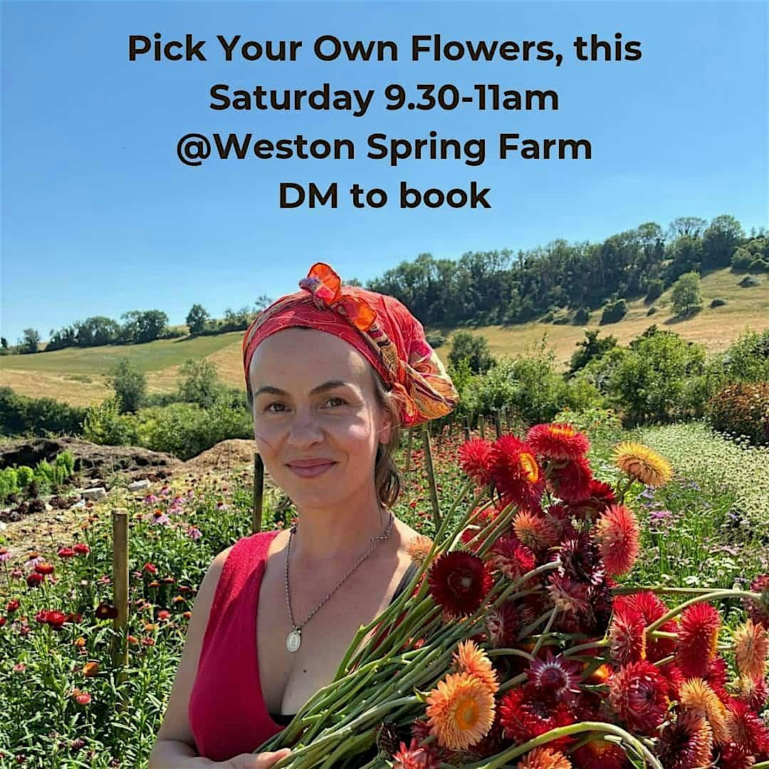 Pick your own flowers